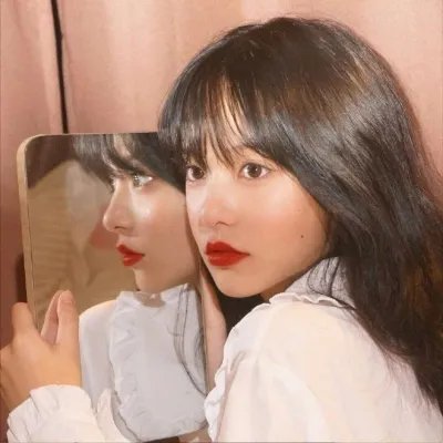 年度鸟事