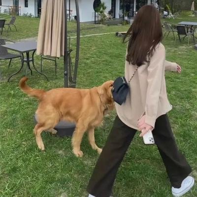 印度艳后